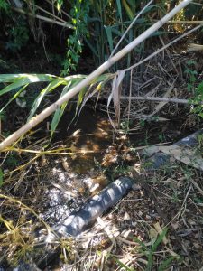 Descargas de esgotos em Casal Jorge não param (c/ vídeo) esgotosIMG 20260613 WA0014