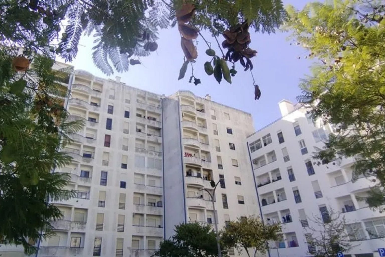 hab258414860