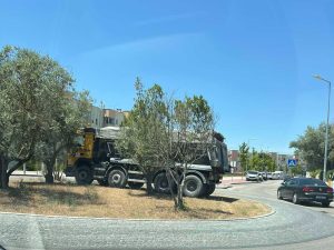 E que tal estacionar na rotunda? image 980344804847374
