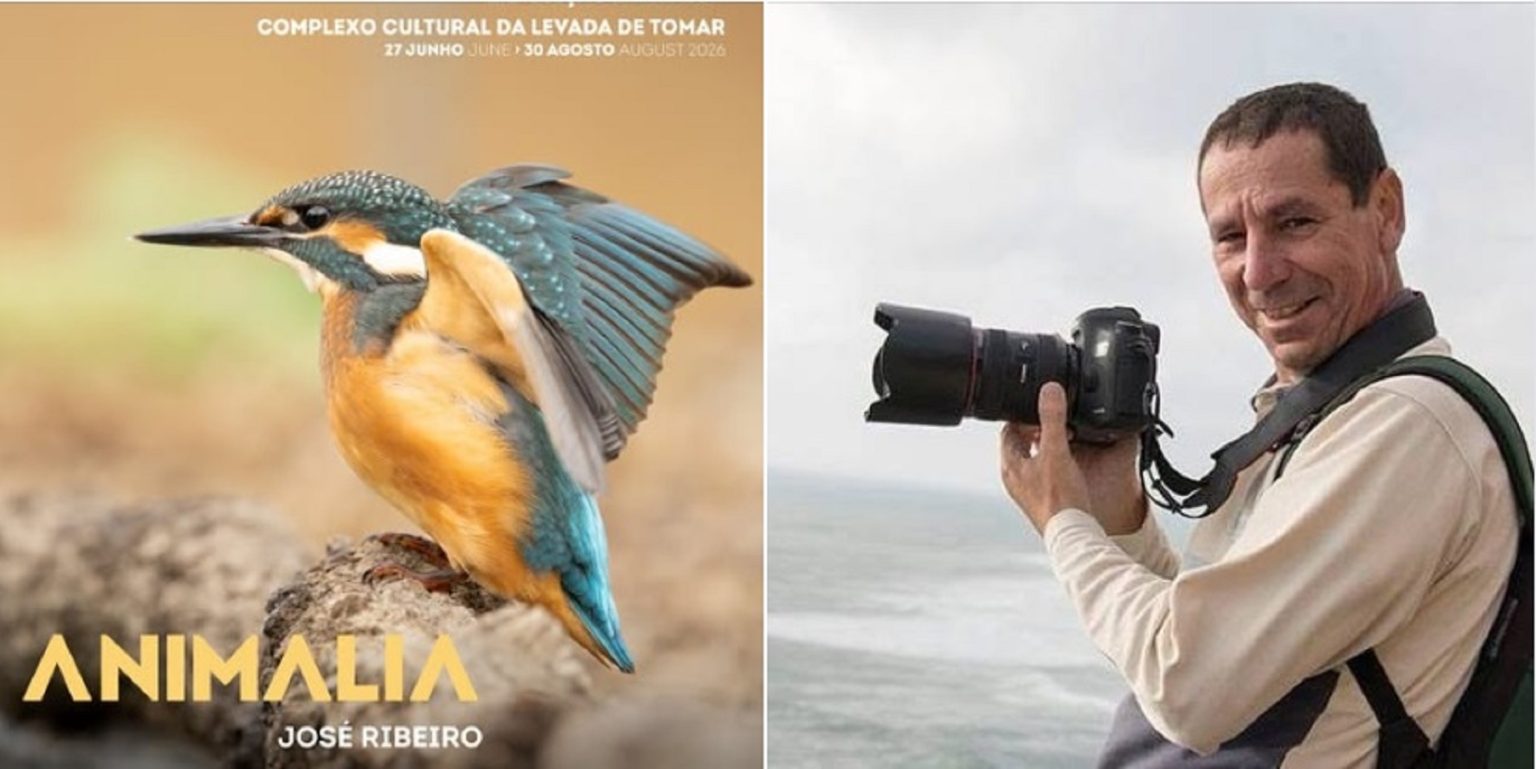 José Ribeiro expõe fotografias da natureza na Levada jose ribeiro