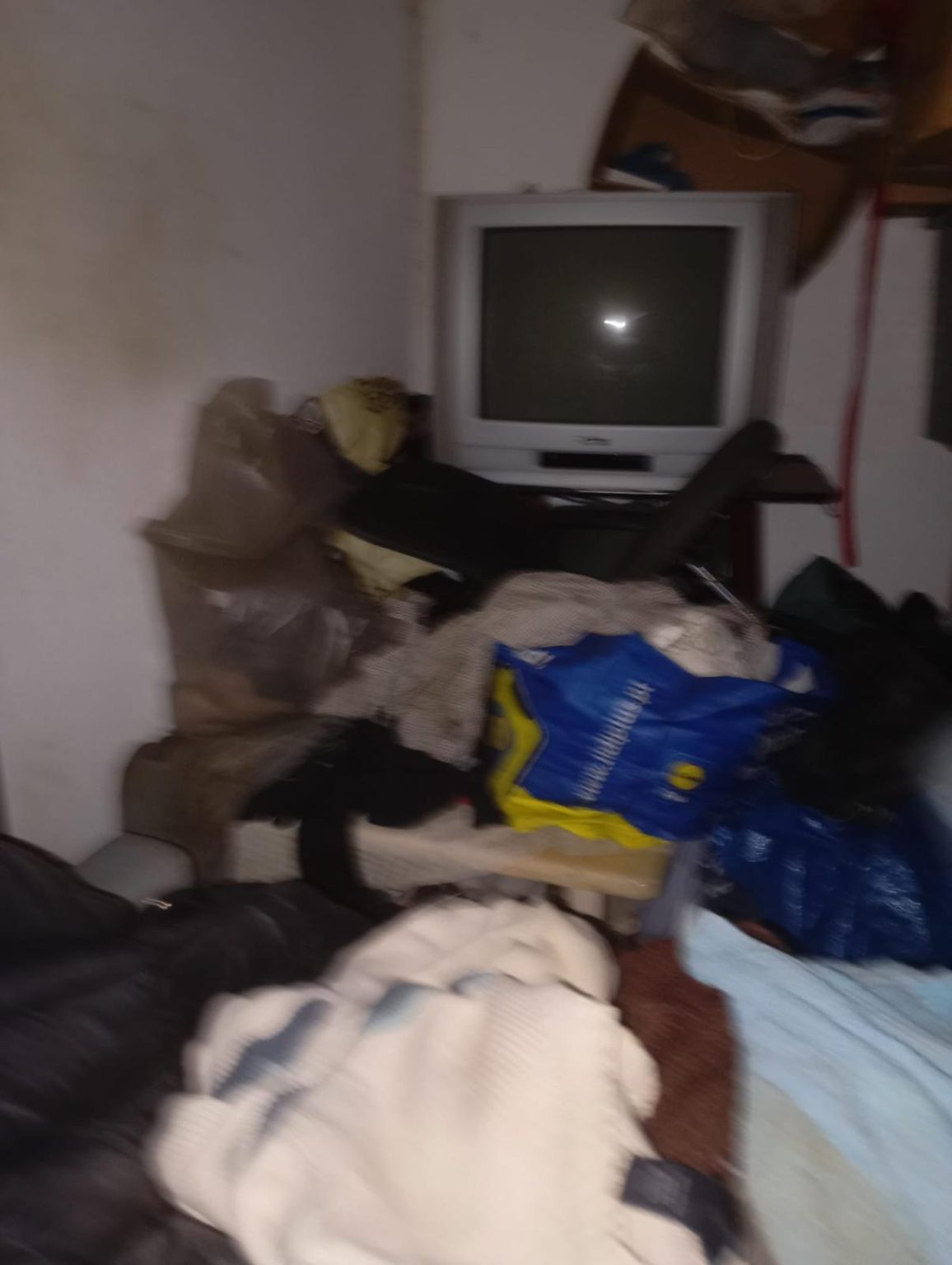 Homem vive em condições degradantes no centro histórico de Tomar (c/ fotos) rui IMG 20260625 WA0016