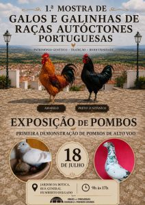 Agenda do fim de semana: música, desporto e festas animam Tomar e a região 18 7 940843871 3672250134073733574 n