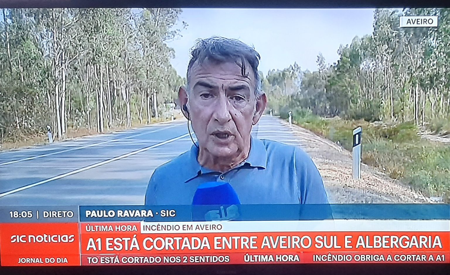 Opinião: Incêndios e linhas de contenção ARVORES A BEIRA DA ESTRADA