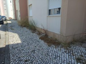IMG 20260706 WA0017