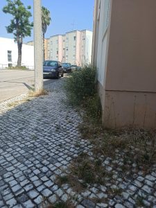 IMG 20260706 WA0019