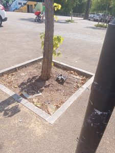 Acidente na zona desportiva IMG 20260721 WA0002