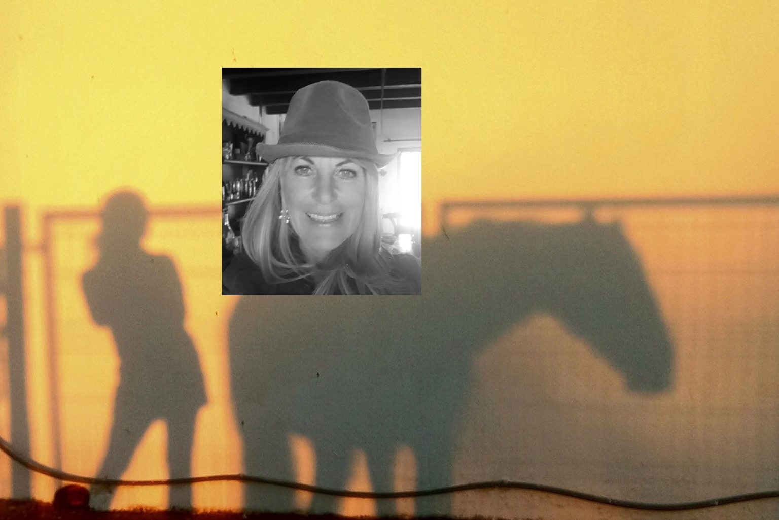 Inglesa de 62 anos morreu em acidente com cavalo em Almeirim cavalo 240596806809010 280691007892552091 n