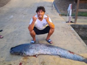 Pescadores da região capturam Siluro com 2 metros de comprimento siluro er creation 236A7F8A A7EC 4594 9862 89AFCD249A6B