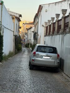 Condutor estaciona e bloqueia trânsito na av. Nuno Álvares Pereira estac IMG 20260818 WA0004