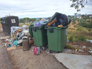Problemas na recolha de lixo e na falta de civismo agravam-se (c/ fotos) lixo 20260823 111428