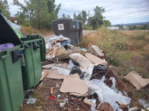 Problemas na recolha de lixo e na falta de civismo agravam-se (c/ fotos) lixo 20260823 111439