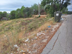 Problemas na recolha de lixo e na falta de civismo agravam-se (c/ fotos) lixo 20260823 111535