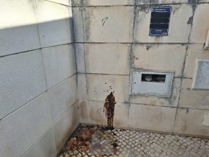 Sanitários perto da igreja de Santa Maria do Olival estão fechados. Junta promete reabrir wc 20260822 104659