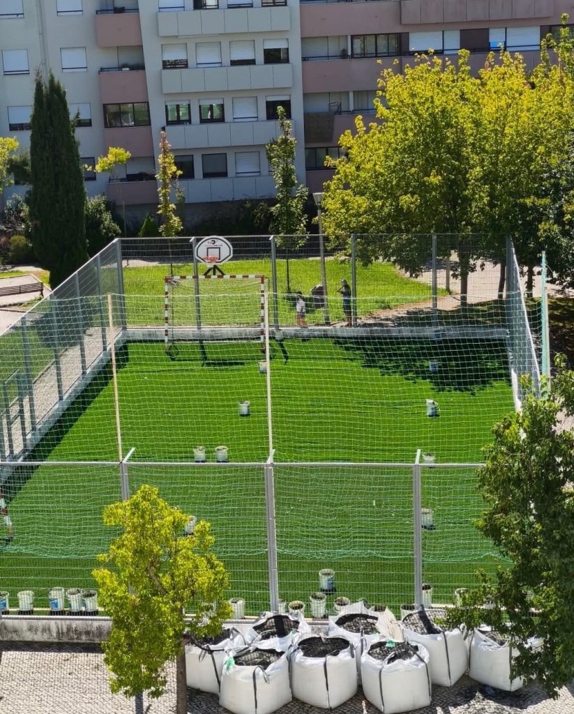 Novo relvado do estádio está pronto, mas falta a certificação relvado Screenshot 20260914 111352 Facebook Copia