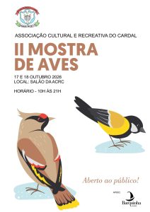 Tomar em festa: Feira de Santa Iria é o grande destaque nos próximos dias 17 10 70845910233906 8550952589714581524 n