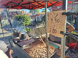 Feira de Santa Iria acabou. Ficam as imagens Feira de Santa Iria 20261025 155007