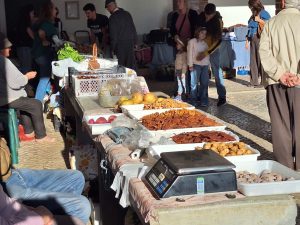 Feira de Santa Iria acabou. Ficam as imagens Feira de Santa Iria 20261025 155716