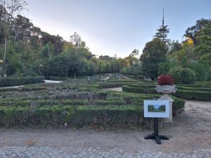 Mata dos Sete Montes reabriu mas só a parte central (c/ fotos e vídeo) Mata dos Sete Montes 20261026 165252