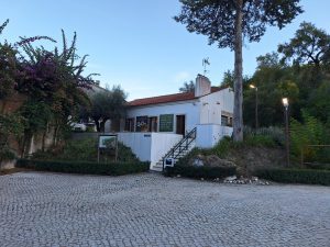 Mata dos Sete Montes reabriu mas só a parte central (c/ fotos e vídeo) Mata dos Sete Montes 20261026 165257