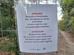 Mata dos Sete Montes reabriu mas só a parte central (c/ fotos e vídeo) Mata dos Sete Montes 20261026 165831