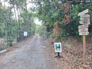 Mata dos Sete Montes reabriu mas só a parte central (c/ fotos e vídeo) Mata dos Sete Montes 20261026 165841