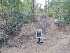 Mata dos Sete Montes reabriu mas só a parte central (c/ fotos e vídeo) Mata dos Sete Montes 20261026 170015