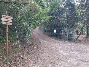 Mata dos Sete Montes reabriu mas só a parte central (c/ fotos e vídeo) Mata dos Sete Montes 20261026 170045
