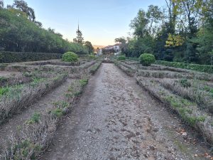 Mata dos Sete Montes reabriu mas só a parte central (c/ fotos e vídeo) Mata dos Sete Montes 20261026 171034
