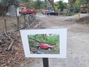 Mata dos Sete Montes reabriu mas só a parte central (c/ fotos e vídeo) Mata dos Sete Montes 20261026 171212