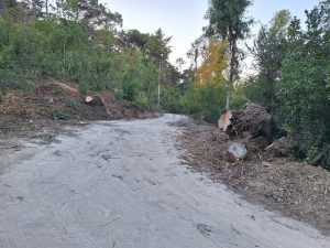 Mata dos Sete Montes reabriu mas só a parte central (c/ fotos e vídeo) Mata dos Sete Montes 20261026 171230