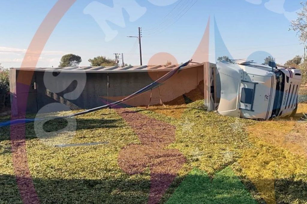 Camião carregado de azeitona despistou-se em Pernes acid 29570992021 1556491524092672106 n