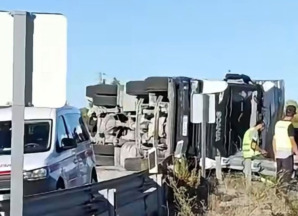 Camião despista-se e liberta dezenas de porcos na estrada camiao 05569527283 4681819104700474604 n