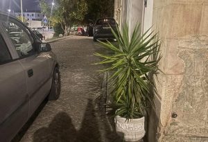 Estacionamento ilegal continua em Tomar (c/ fotos) estac 23935156554448 8676121453273992586 n